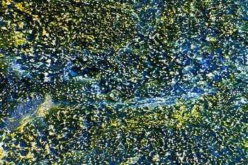 AP 146E1